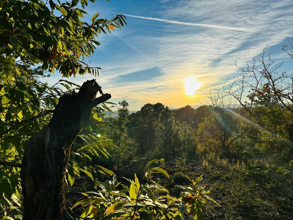 Les Hauts du Marquet - Gîte 4* grande capacité en Cévennes  Saint Jean du Pin Esterno foto